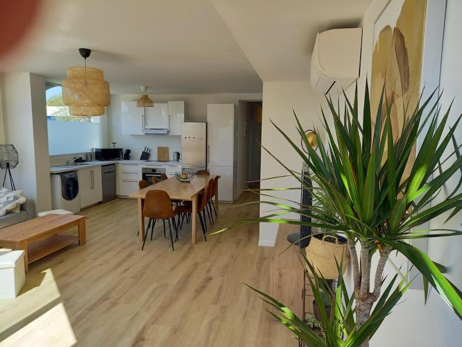Appartement 100 M2 Terrasse Piscine Gruissan Eksteriør billede